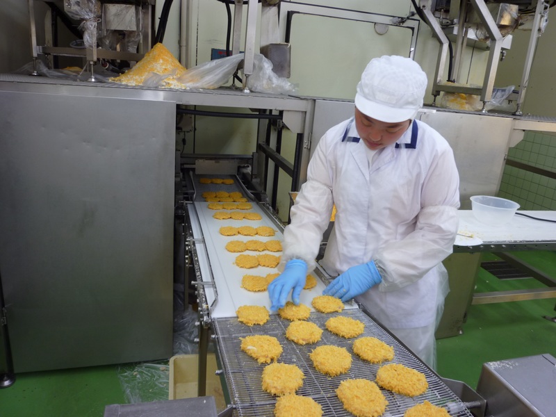 祁阳日本食品加工